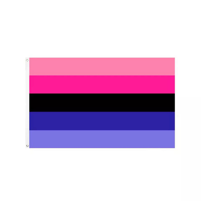 Флаг прогресса полиэстера флага 3кс5Фт 100Д радуги ЛГБТ печатания цифров
