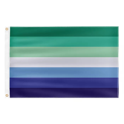 Флаг прогресса полиэстера флага 3кс5Фт 100Д радуги ЛГБТ печатания цифров
